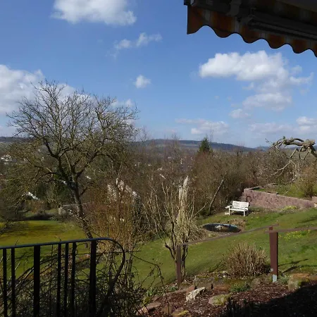Dora 2 Apartment Michelstadt