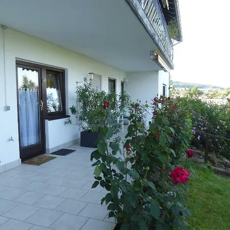 Apartment Dora 2 Michelstadt